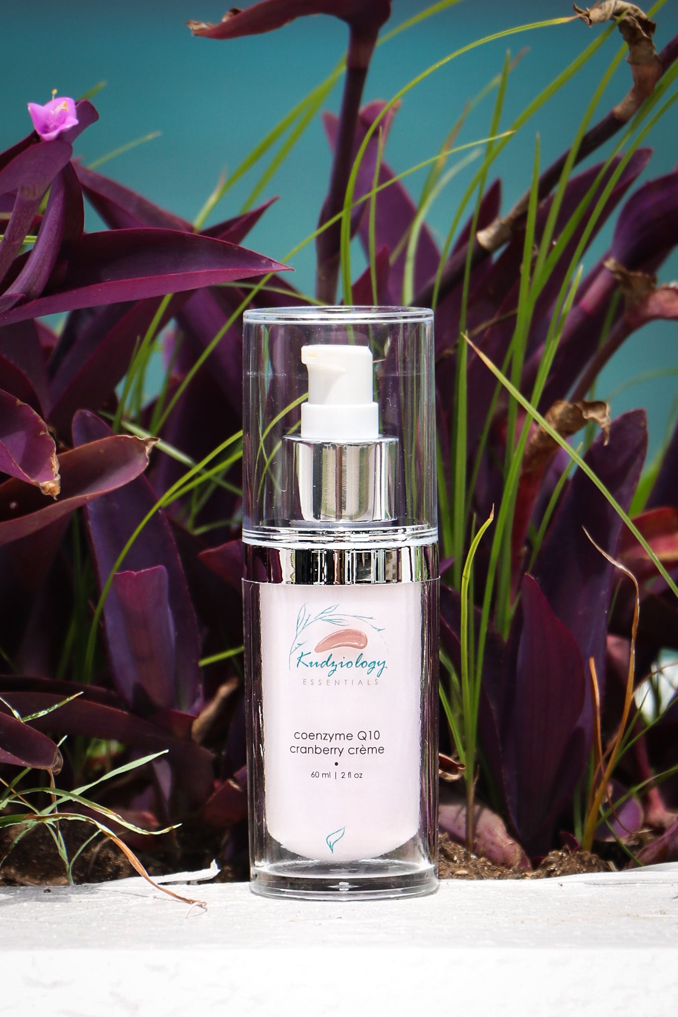 CoENZYME Q10 CRANBERRY CRÈME